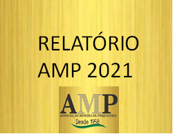 Relatório AMP 2021